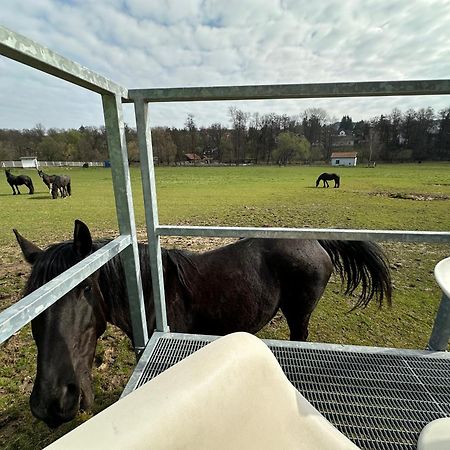 Glamping - Stylova Maringotka V Srdci Ladova Kraje, Pobliz Hlavniho Mesta Prahy Stribrna Skalice Dış mekan fotoğraf