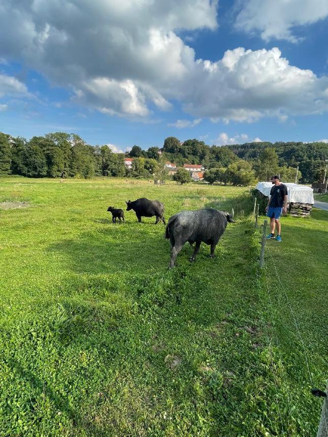 Glamping - Stylova Maringotka V Srdci Ladova Kraje, Pobliz Hlavniho Mesta Prahy Stribrna Skalice Dış mekan fotoğraf