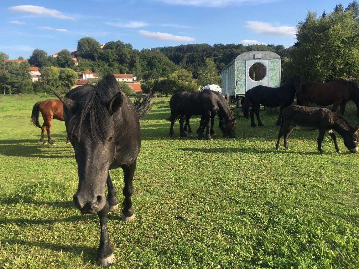 Glamping - Stylova Maringotka V Srdci Ladova Kraje, Pobliz Hlavniho Mesta Prahy Stribrna Skalice Dış mekan fotoğraf