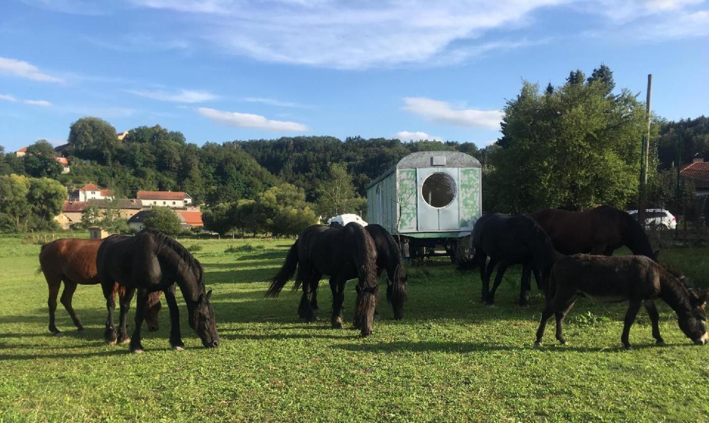 Glamping - Stylova Maringotka V Srdci Ladova Kraje, Pobliz Hlavniho Mesta Prahy Stribrna Skalice Dış mekan fotoğraf